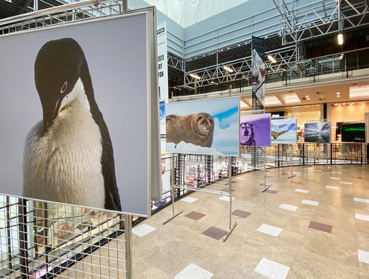 PALLADIUM_vystava fotografii Jana Hnizdila Zmrzlé světy